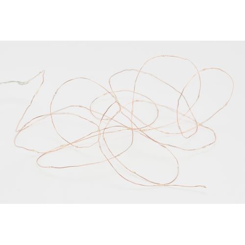 Guirlande 40 LED 3,9m  Blanc chaud vue de face