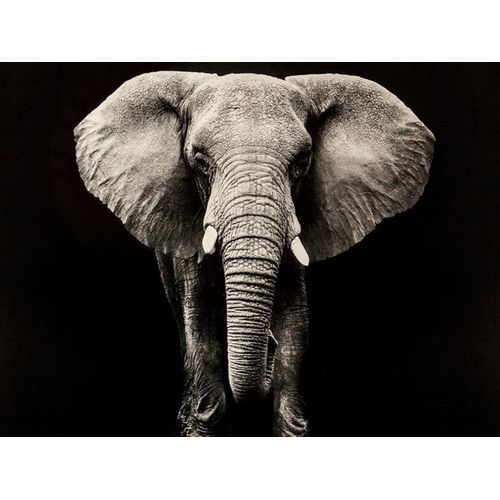 Toile imprimée 100x100 cm ATMOSPHERA Noir et blanc