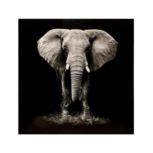 Toile imprimée 100x100 cm ATMOSPHERA Noir et blanc