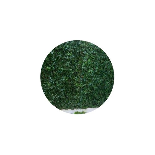 Treillis En Bois De Saule Et Feuilles De Vigne Vierge Artificielles (1 X 2 M)