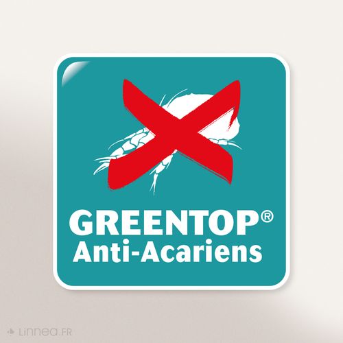 Housse De Protection D'oreiller Antonin 50x75 Cm Molleton 220 G/m² Absorbant Blanc