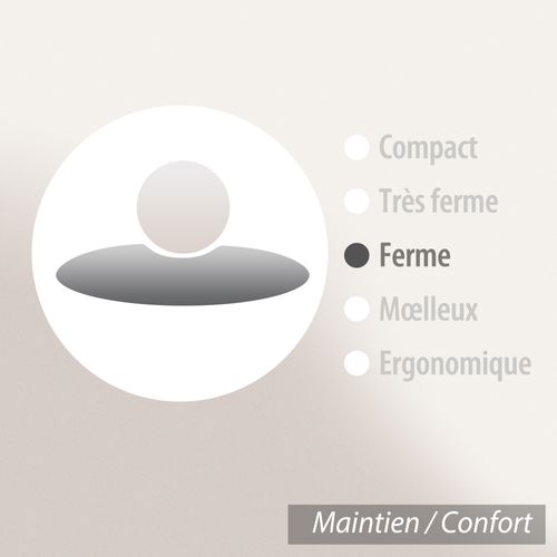 Coussin à Recouvrir 30x50 Cm Garnissage Fibres Polyester Coussin Malin