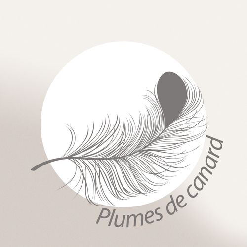 Coussin à Recouvrir 30x50 Cm Garnissage 100% Plumettes De Canards Coussin Plumes