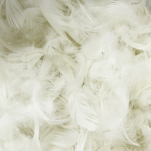 Rembourrage 85 % Plumes De Canards 15% Duvet Sac 1 Kg