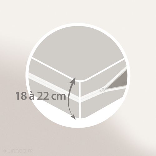 Rénove Matelas Rubens Housse 160x200cm Matelas 18 à 22cm