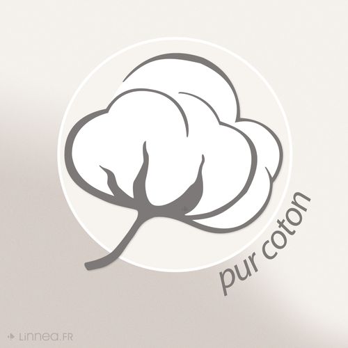 Rénove Matelas Rubens Housse 160x200cm Matelas 18 à 22cm