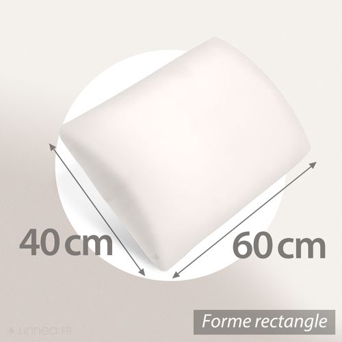 Oreiller 40x60 Cm Pilo Visco-végétal à Mémoire De Forme