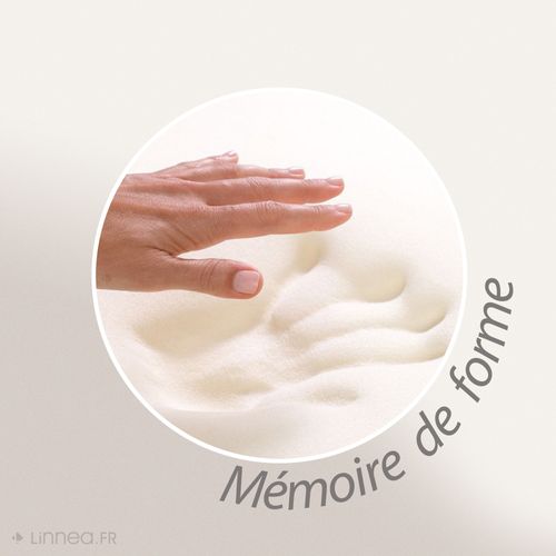 Oreiller 40x60 Cm Pilo Visco-végétal à Mémoire De Forme