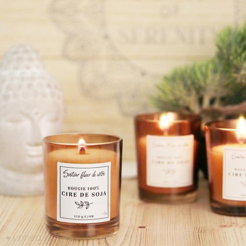 Bougie Parfumée 100% Cire De Soja Senteur Fleur De Coton Collection Soya