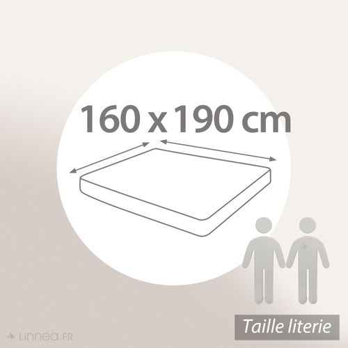Drap Housse Uni 160x190 Cm Bonnet 30 Cm Percale Primo Blanc