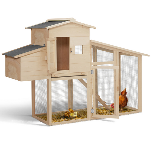 Poulailler Comfort Avec Pondoir En Bois