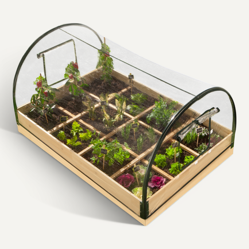 Carré Potager 12 Compartiments + Housse Serre Châssis