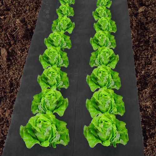 Feutre Toile De Paillage 1m X 30m Noir