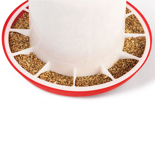 Pack Mangeoire Et Abreuvoir Pour Poules Et Autres Volailles - Mangeoire