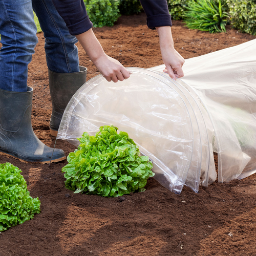 Tunnel De Culture De Jardin, Tunnel De Plantation En Maille Agricole
