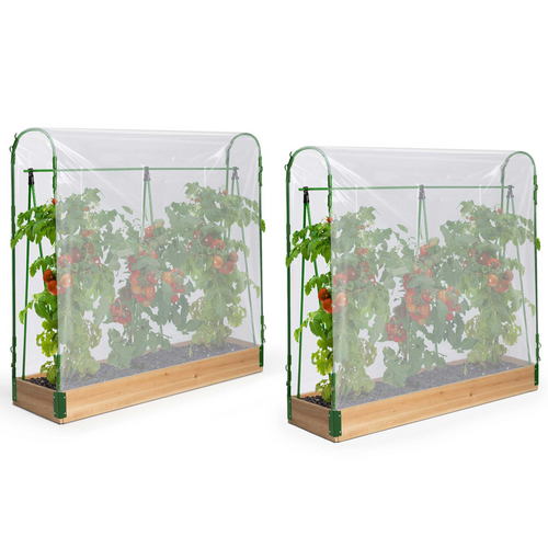 Duo Serres à Tomates Modulables Spéciales Croissance Kit Complet Bâche + Support