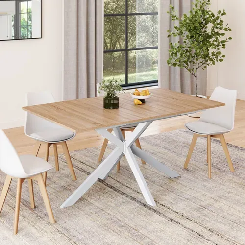 Table à Manger Extensible Rectangle Alix 6-10 Personnes Bois Et Blanc 160-200 Cm