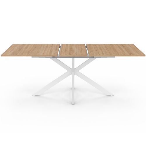 Table à Manger Extensible Rectangle Alix 6-10 Personnes Bois Et Blanc 160-200 Cm