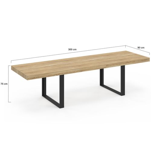 Table à Manger Rectangle Phoenix 12 Personnes Bois Et Noir 300 Cm