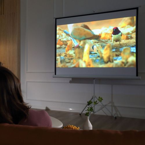 écran De Projection 4:3 84' Avec Support Trépied