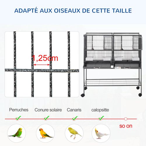 Cage à Oiseaux Avec Séparation
