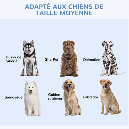 Cage De Transport Pour Chien Pliable - Dim. 121l X 77l X 82h Cm - Acier Abs Noir