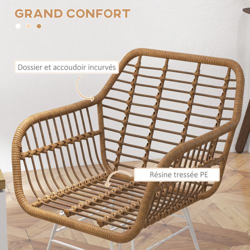 Lot De 2 Chaises De Salon Style Bohème Acier Blanc Résine Tressée Marron