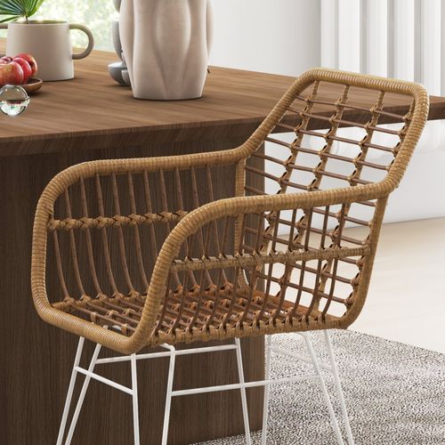 Lot De 2 Chaises De Salon Style Bohème Acier Blanc Résine Tressée Marron