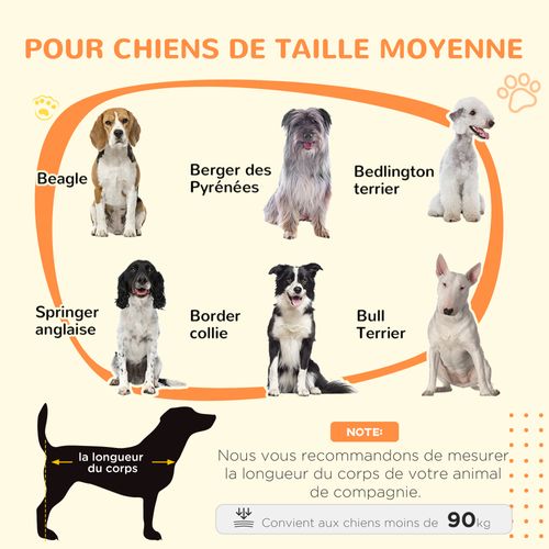 Cage Chien Style Industriel Avec Porte Acier Noir Aspect Bois