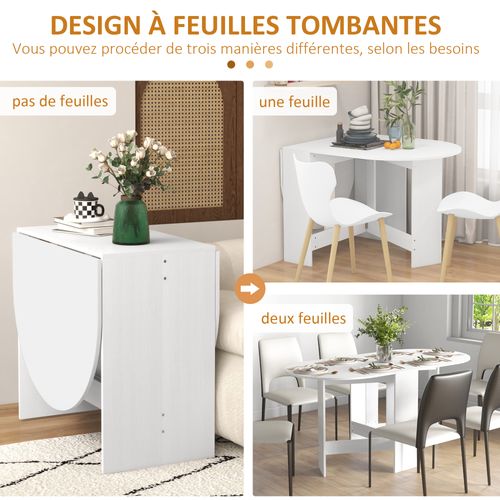 Table à Manger Pliante 6 Personnes Design Ovale