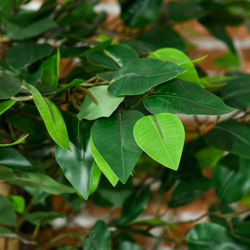Lot De 2 Plantes Artificielles Ficus H.1,8 M Grand Réalisme Pot Inclus