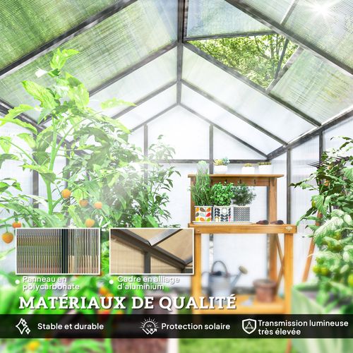 Serre De Jardin Alu Polycarbonate Fondation Lucarne Porte