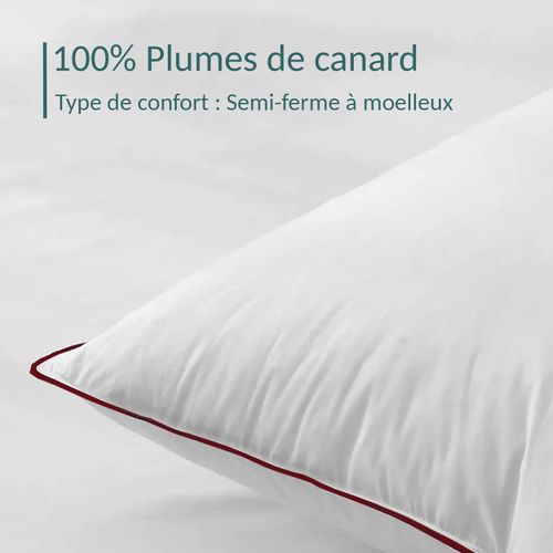 Oreiller Confort Plumes 60 X 60 Cm : Soutien Mi-ferme Et 100% Plumes De Canard