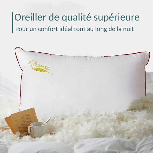 Oreiller Confort Plumes 60 X 60 Cm : Soutien Mi-ferme Et 100% Plumes De Canard