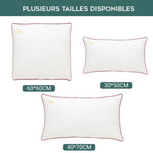 Oreiller Confort Plumes 60 X 60 Cm : Soutien Mi-ferme Et 100% Plumes De Canard