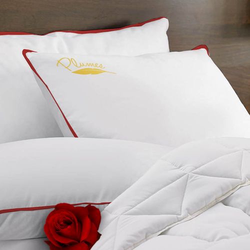 Oreiller Confort Plumes 60 X 60 Cm : Soutien Mi-ferme Et 100% Plumes De Canard