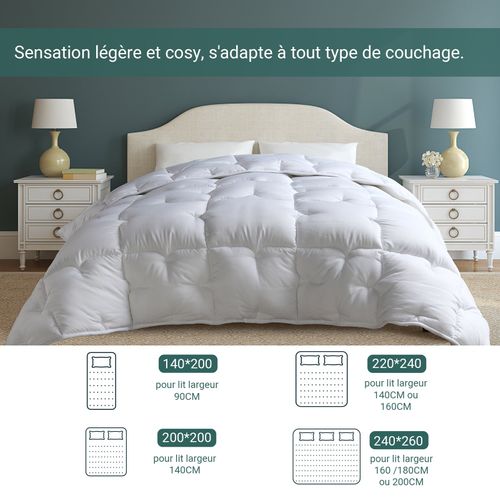 Couette Très Chaude 240x260 Cm Spéciale Hiver - Couette Premium En Microfibre