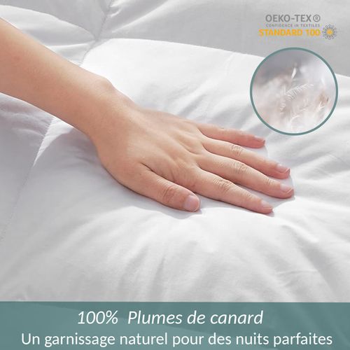 Couette Plume Chaude 220x240 Cm Luxe - 100% Plumes Naturelles De Canard, Garnissage 500g/m2