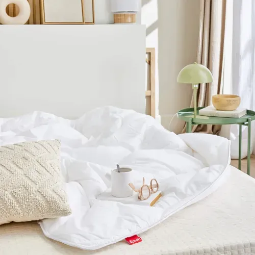 Couette Hiver Anti-acariens Aloe Vera 280x240