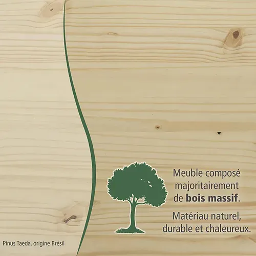 Armoire 2 Portes + Penderie Bois Massif Naturel - Oliver