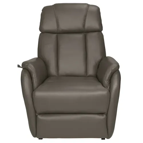 Fauteuil Relax Et Releveur Electrique Cuir Taupe - Tamise