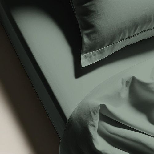 Drap Plat Coton Lichen - 180 X 290 cm