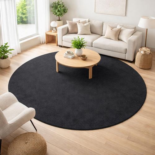 Tapis Chambre D.160cm Lyn10 Lavable Noir Uni, Tapis Shaggy à Longs Poils