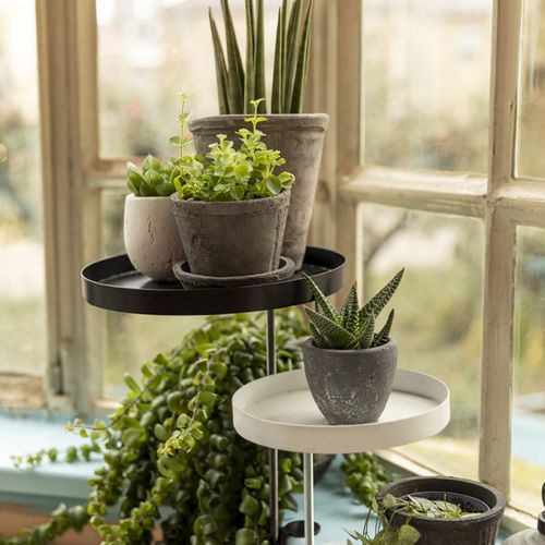 Plateau Rond Pour Rebord De Fenêtre - Noir - Taille M - D 18 Cm