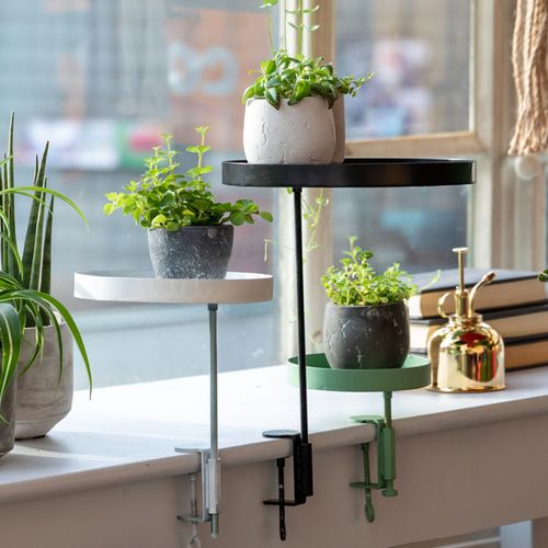 Plateau Rond Pour Rebord De Fenêtre - Noir - Taille M - D 18 Cm