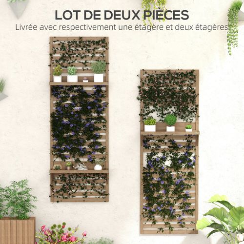 Ensemble Treillage Mural 2 éléments - 3 étagères - Bois Sapin Pré-huilé