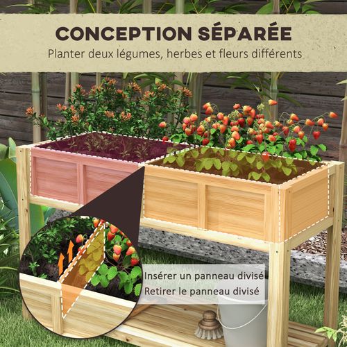 Jardinière Sur Pied - Séparateur Amovible, étagère - Bois Sapin Autoclave