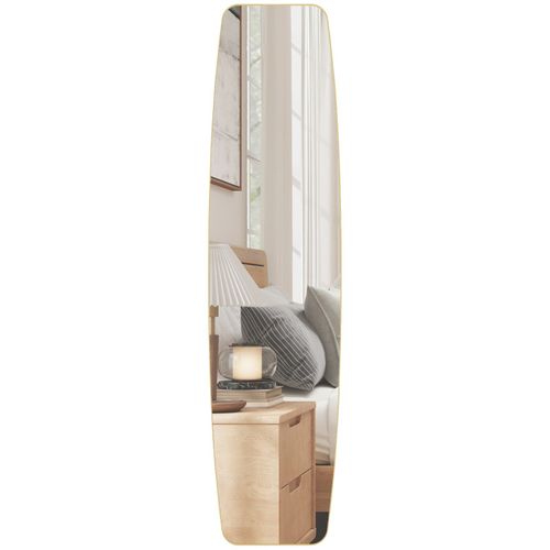 Grand Miroir Mural Ovale Pleine Longueur 40 X 160 Cm Gans Doré