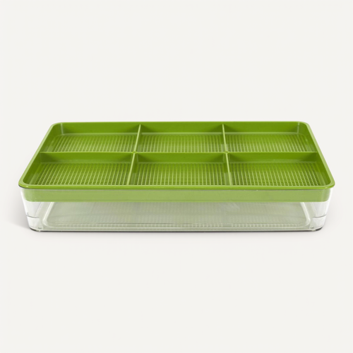 PLATEAU DE GERMINATION de graines avec couvercle, germoir d'herbe de