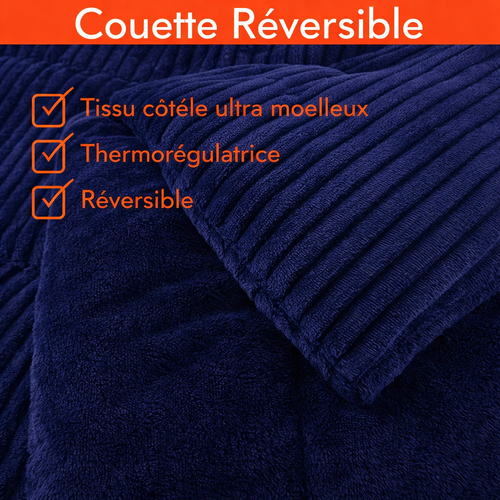 Couette Chaude 240 x 260 cm Moelleuse- Couette Réversible Coton Club Bleue - Tempérée - Microfibre